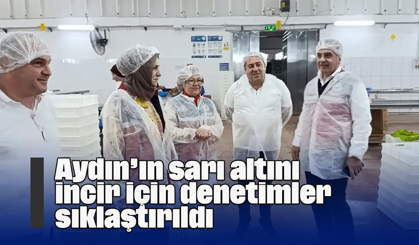 Aydın’ın sarı altını incir için denetimler sıklaştırıldı
