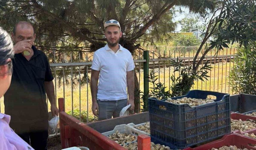 Başkan Zencirci, incir üreticilerini yalnız bırakmadı