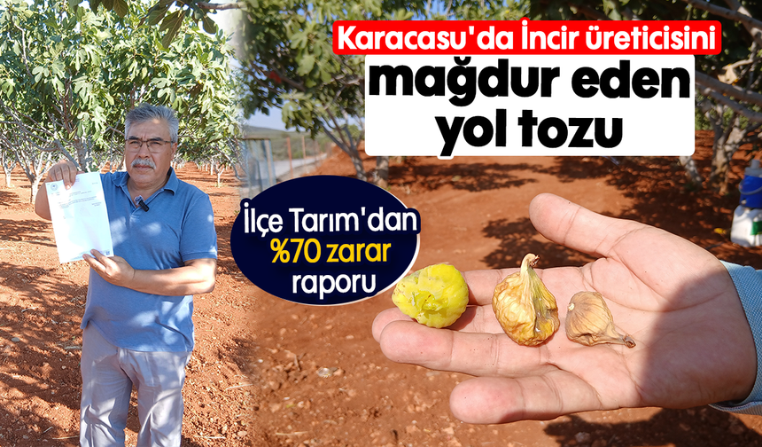 İncir üreticisini mağdur eden yol tozu