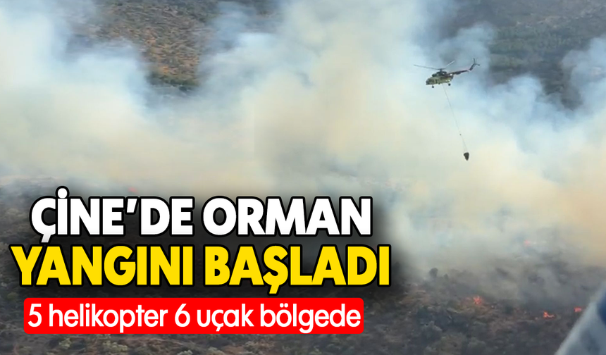 Çine’de orman yangını başladı : 5 helikopter 6 uçak bölgede
