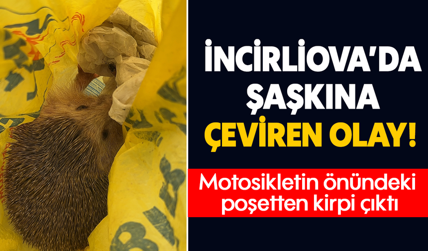 İncirliova’da şaşkına çeviren olay: Motosikletin önündeki poşetten kirpi çıktı