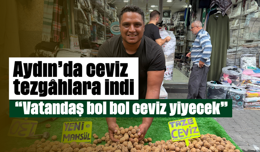 Aydın’da ceviz tezgâhlara indi