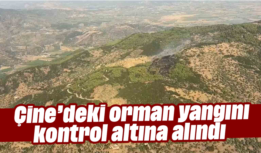 Çine’deki orman yangını kontrol altına alındı