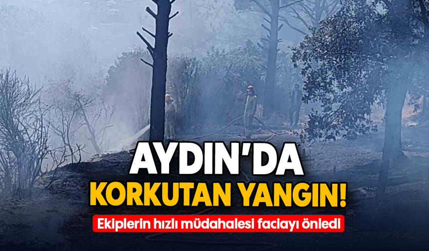 Aydın’da korkutan yangın! : Ekiplerin hızlı müdahalesi faciayı önledi