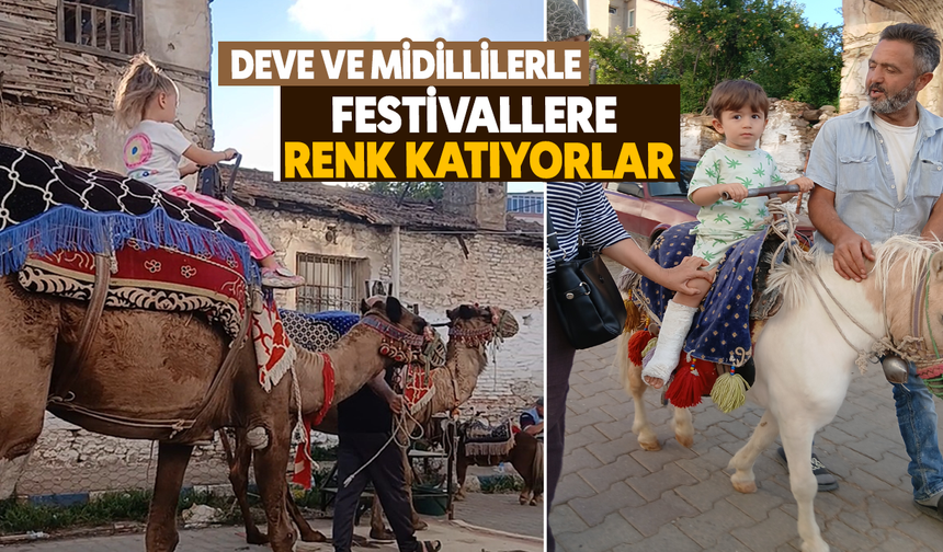 Deve ve midillilerle festivallere renk katıyorlar