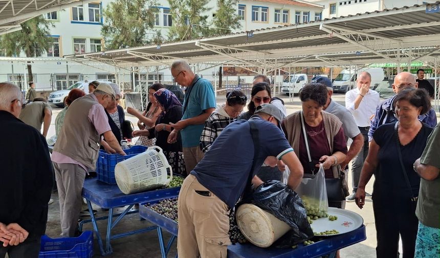 Didim Belediyesi öncü oldu; zeytin üreticileri pazara kavuştu