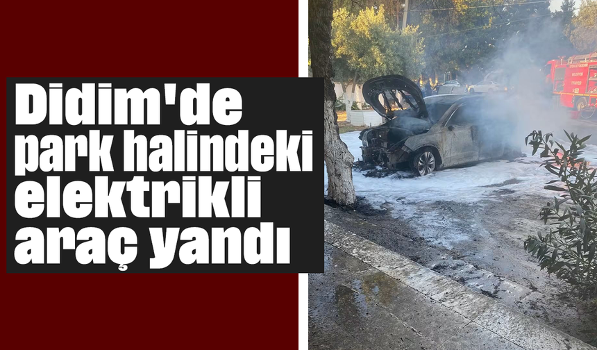Didim'de park halindeki elektrikli araç yandı