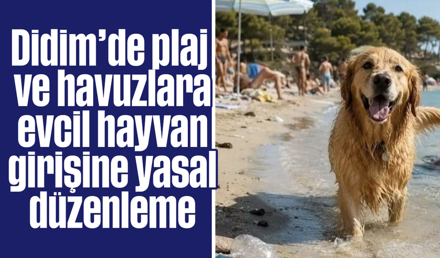 Didim’de plaj ve havuzlara evcil hayvan girişine yasal düzenleme