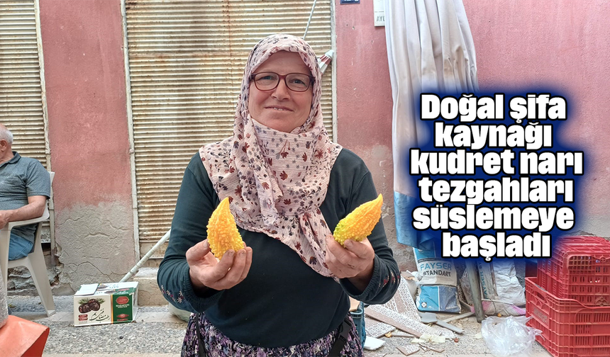 Doğal şifa kaynağı kudret narı, tezgahları süslemeye başladı