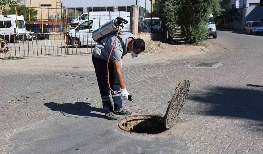 Efeler Belediyesi’nden ilaçlama çalışması