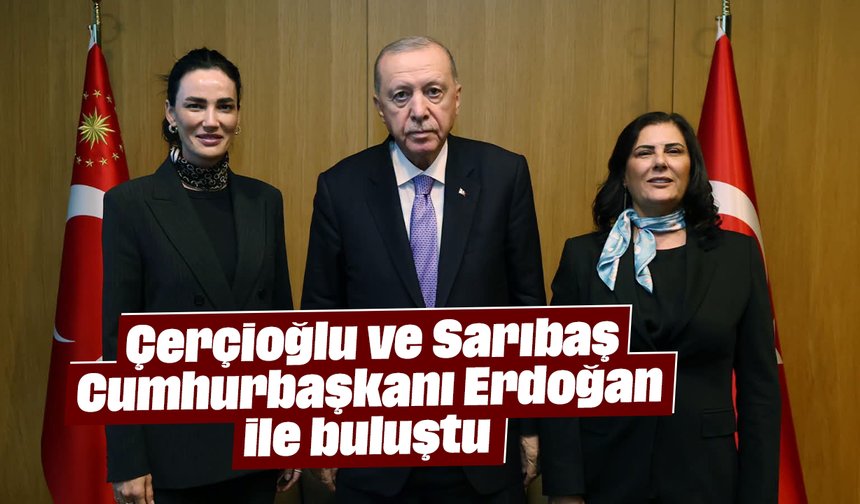 Çerçioğlu ve Sarıbaş, Cumhurbaşkanı Erdoğan ile buluştu
