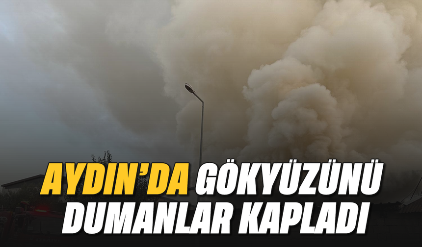 Aydın'da gökyüzünü dumanlar kapladı