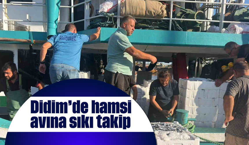 Didim’de hamsi avına sıkı takip