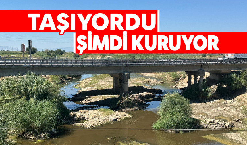 Taşıyordu, şimdi kuruyor