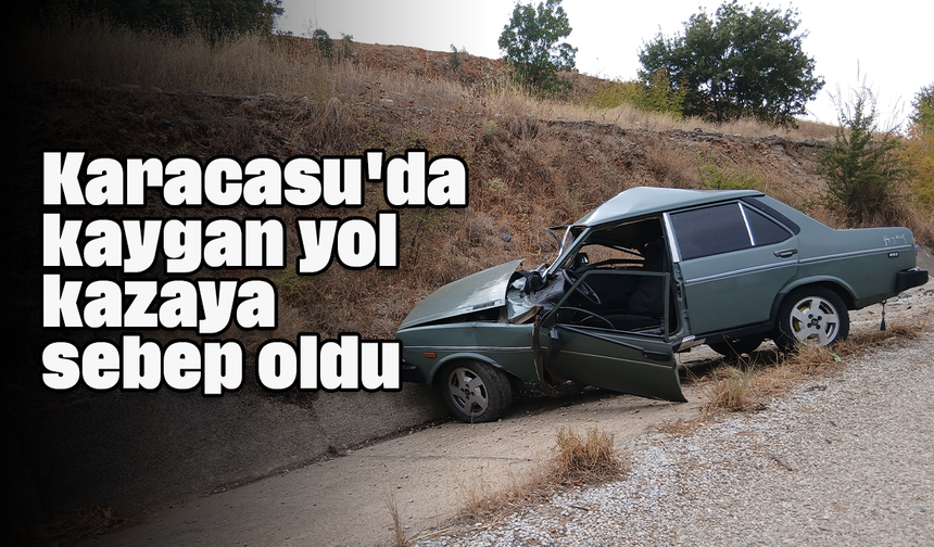 Karacasu'da kaygan yol kazaya sebep oldu: 1 yaralı