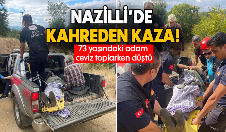 Nazilli’de kahreden kaza:73 yaşındaki adam ceviz toplarken düştü