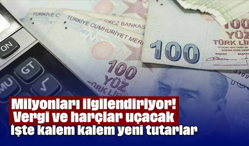 Milyonları ilgilendiriyor! Vergi ve harçlar uçacak: İşte kalem kalem yeni tutarlar