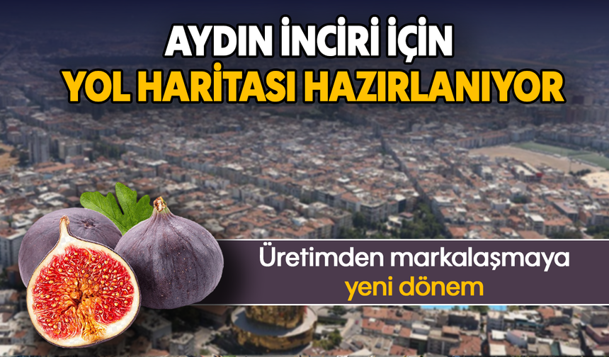 Aydın inciri için yol haritası hazırlanıyor: Üretimden markalaşmaya yeni dönem