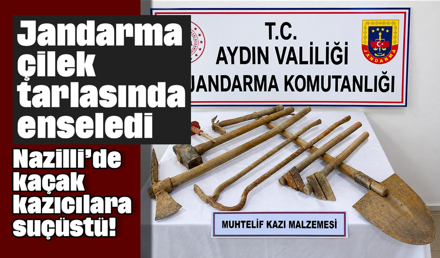 Jandarma çilek tarlasında enseledi Nazilli’de kaçak kazıcılara suçüstü!