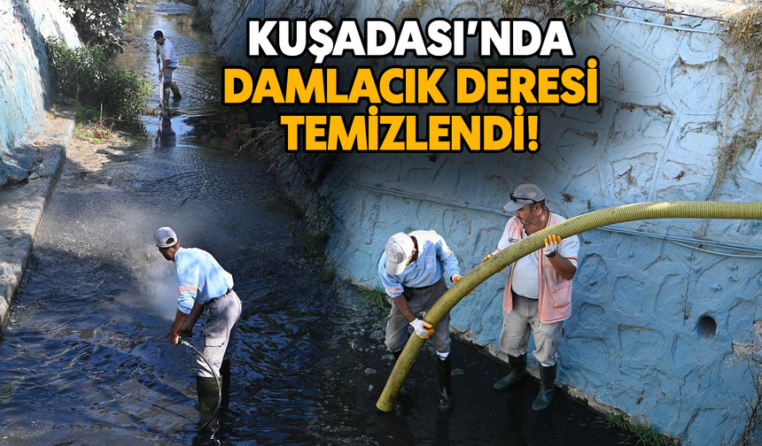 Kuşadası’nda Damlacık Deresi temizlendi
