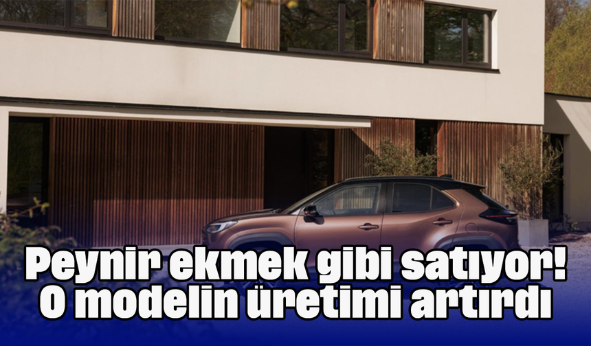Peynir ekmek gibi satıyor! O modelin üretimi artırdı
