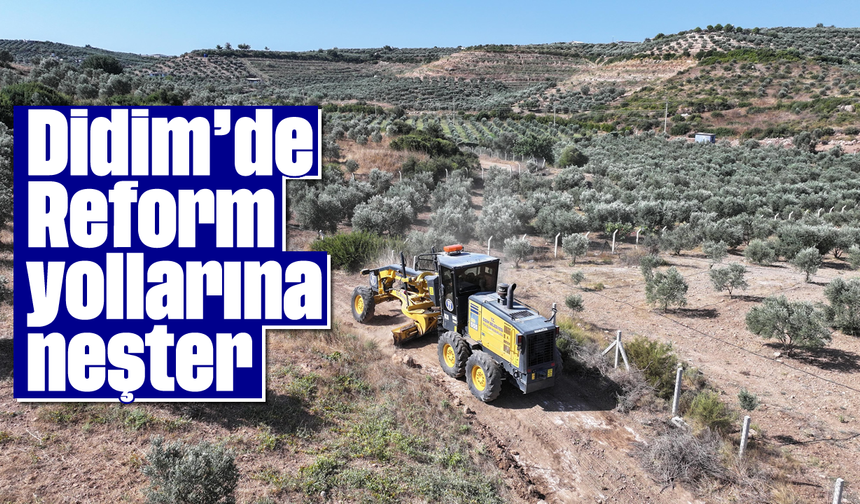 Didim Belediyesinden reform arazilerinde yol çalışması