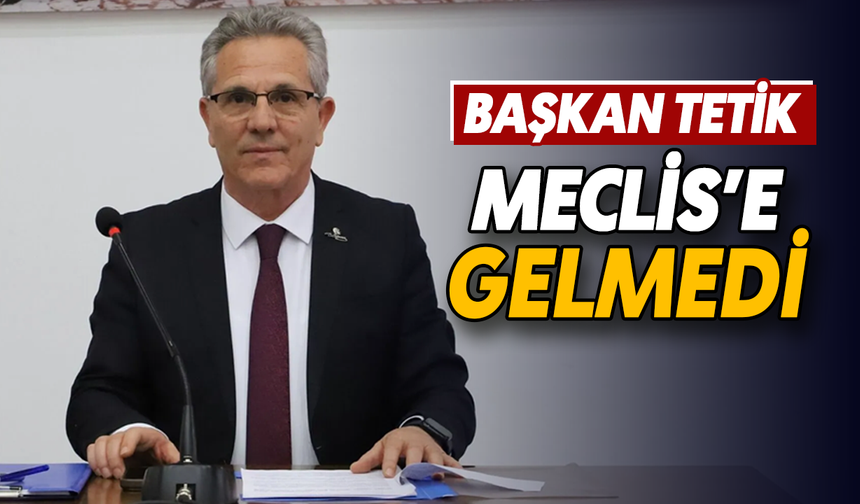 Başkan Tetik, Meclis’e gelmedi