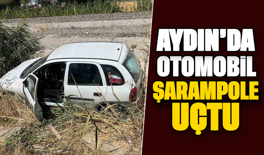 Aydın'da otomobil şarampole uçtu