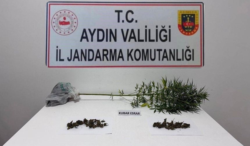 Söke’de jandarmadan zehir operasyonu