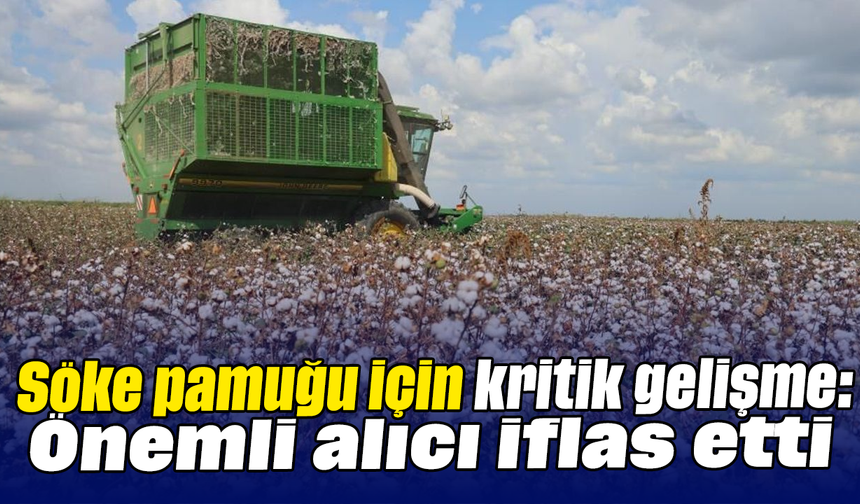 Söke pamuğu için kritik gelişme: Önemli alıcı iflas etti