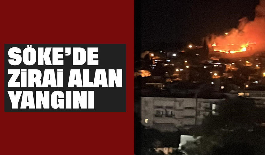 Söke’de zirai alan yangını