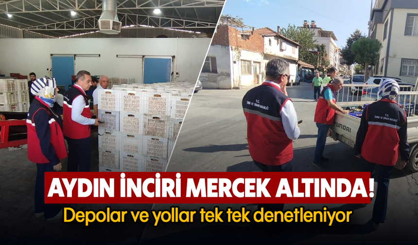 Aydın inciri mercek altında! : Depolar ve yollar tek tek denetleniyor