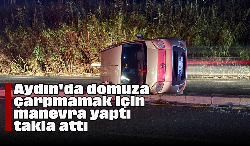 Aydın'da domuza çarpmamak için manevra yaptı, takla attı