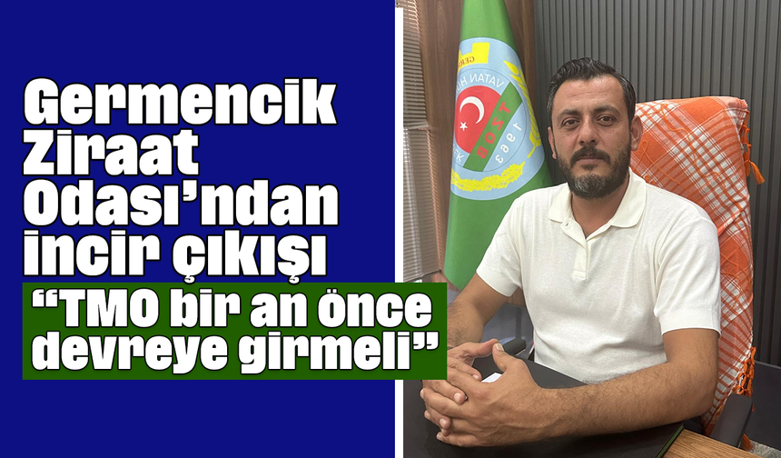 Germencik Ziraat Odası’ndan incir çıkışı: 'TMO bir an önce devreye girmeli'