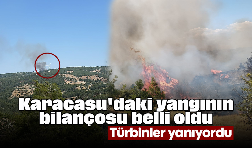 Karacasu'daki yangının bilançosu belli oldu: Türbinler yanıyordu
