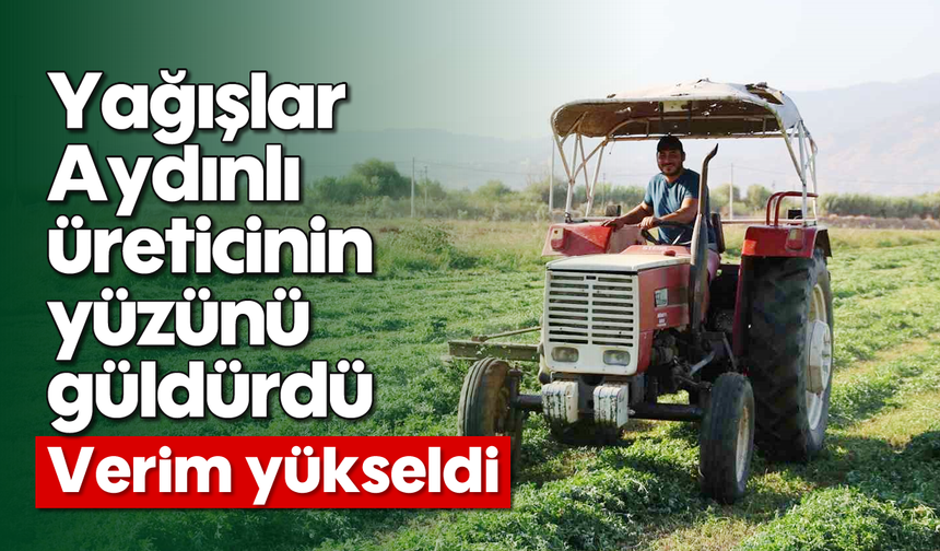 Yağışlar Aydınlı üreticinin yüzünü güldürdü: Verim yükseldi