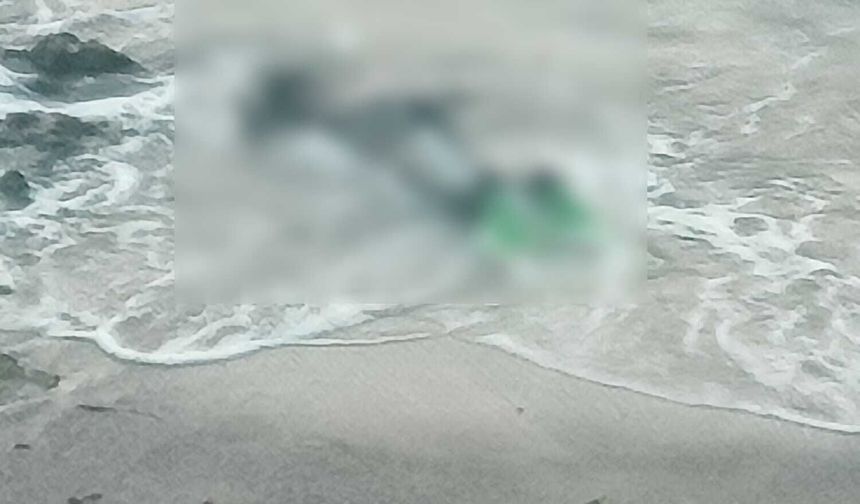 Didim'de acı olay: Dalgıç kıyafetiyle kıyıya vurdu