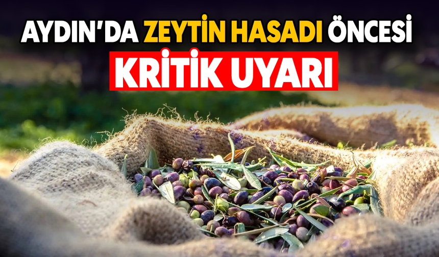 Aydın'da zeytin hasadı öncesi kritik uyarı