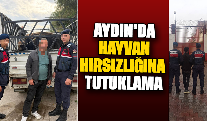 Aydın’da hayvan hırsızlığına tutuklama