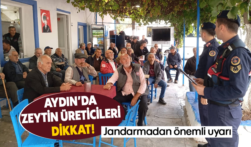 Aydın'da zeytin üreticileri dikkat! Jandarmadan önemli uyarı