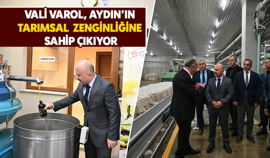 Vali Varol, Aydın'ın tarımsal zenginliğine sahip çıkıyor
