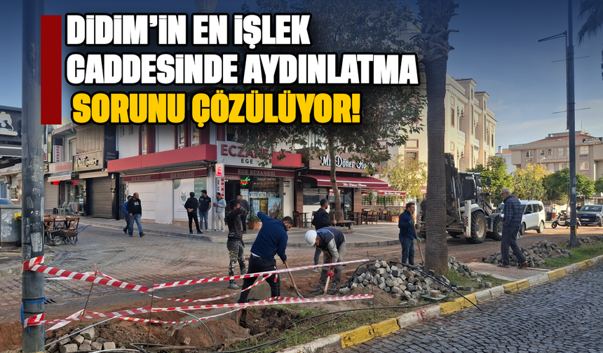 Didim'in en işlek caddesinde aydınlatma sorunu çözülüyor