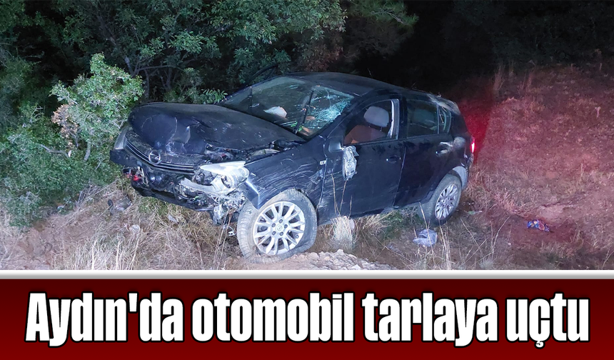 Aydın'da otomobil tarlaya uçtu