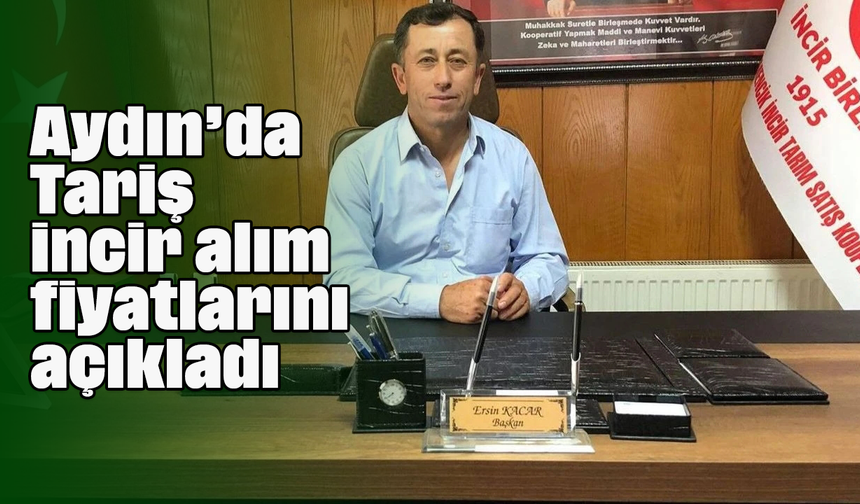 Aydın’da Tariş, incir alım fiyatlarını açıkladı