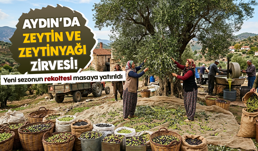 Aydın’da zeytin ve zeytinyağı zirvesi! Yeni sezonun rekoltesi masaya yatırıldı