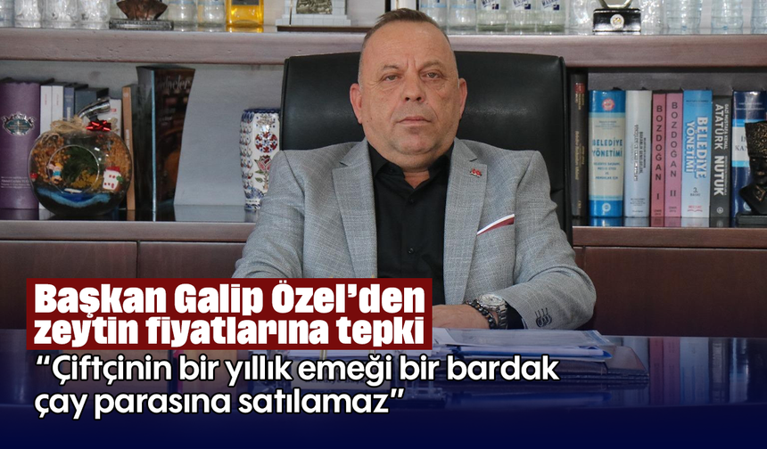 Başkan Galip Özel’den zeytin fiyatlarına tepki: “Çiftçinin bir yıllık emeği bir bardak çay parasına satılamaz”
