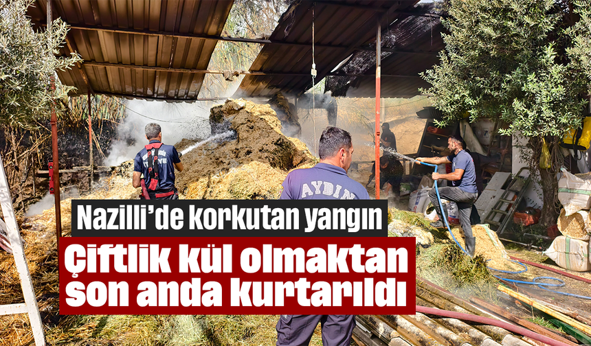 Nazilli’de korkutan yangın: Çiftlik kül olmaktan son anda kurtarıldı