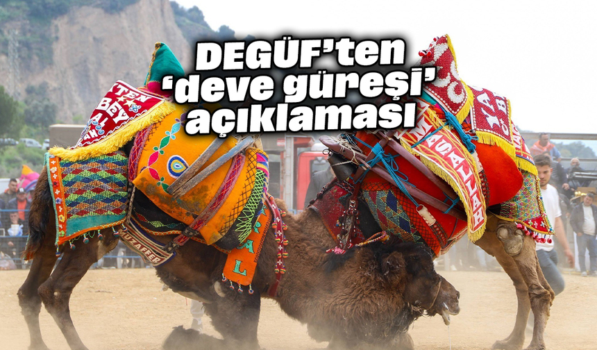 DEGÜF’ten ‘deve güreşi’ açıklaması