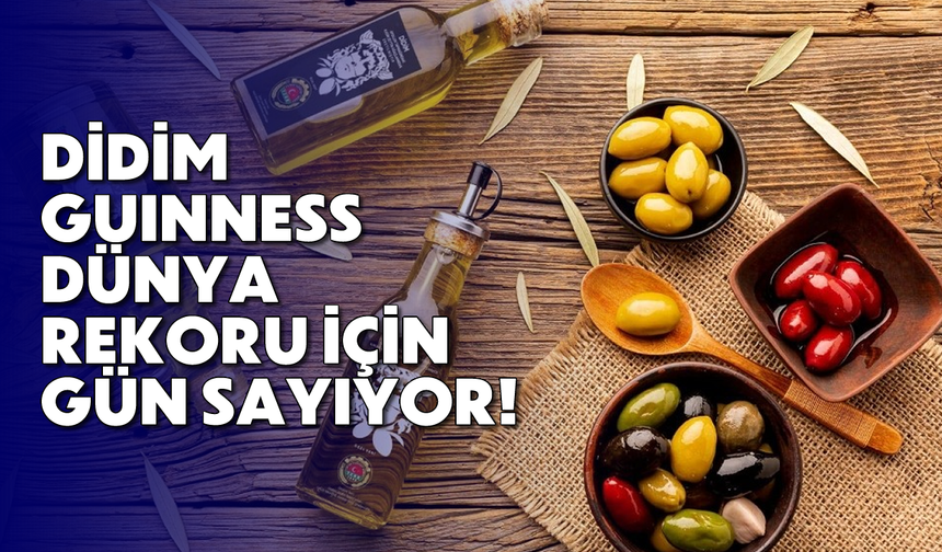 Didim, Guninness dünya rekoru için gün sayıyor