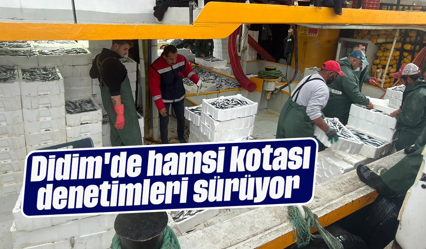 Didim'de hamsi kotası denetimleri sürüyor